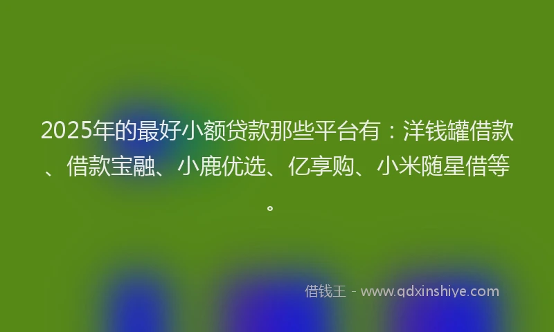 2025年的最好小额贷款那些平台有：洋钱罐借款、借款宝融、小鹿优选、亿享购、小米随星借等。