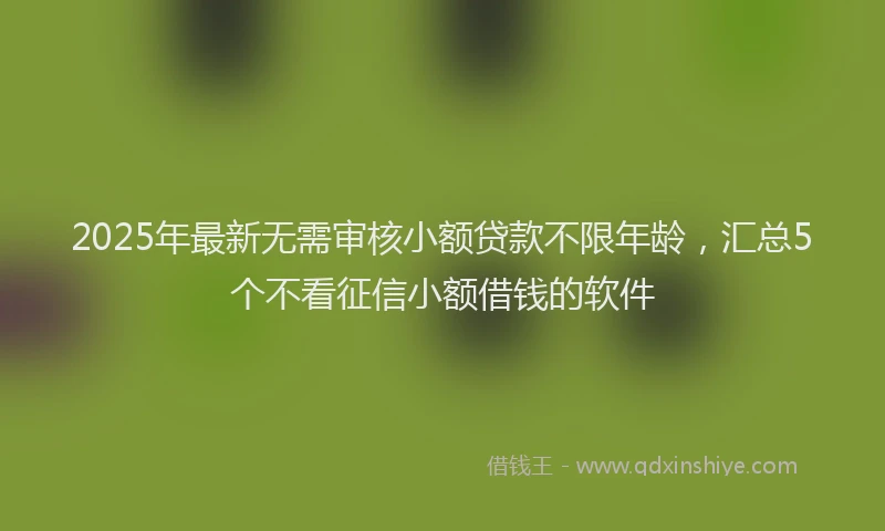 2025年最新无需审核小额贷款不限年龄，汇总5个不看征信小额借钱的软件