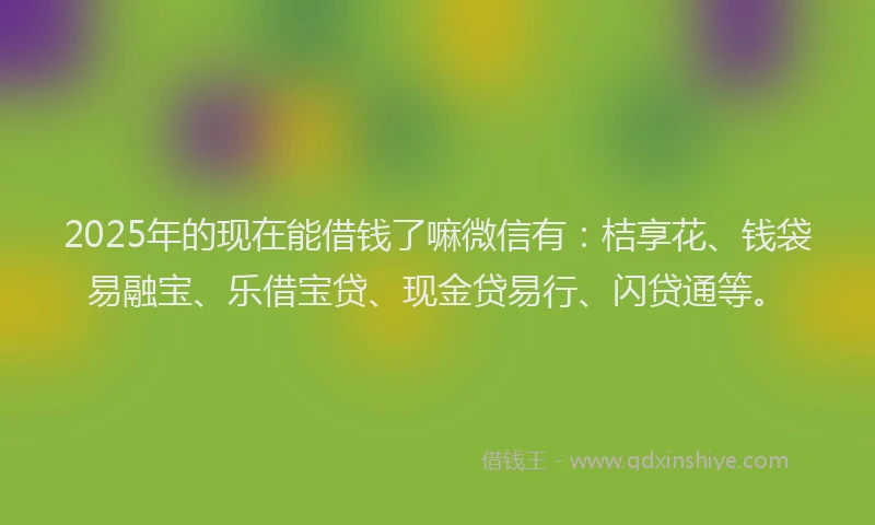 2025年的现在能借钱了嘛微信有：桔享花、钱袋易融宝、乐借宝贷、现金贷易行、闪贷通等。