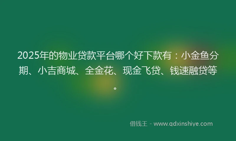 2025年的物业贷款平台哪个好下款有：小金鱼分期、小吉商城、全金花、现金飞贷、钱速融贷等。