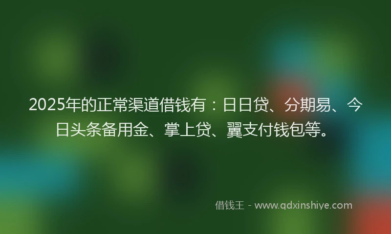 2025年的正常渠道借钱有：日日贷、分期易、今日头条备用金、掌上贷、翼支付钱包等。