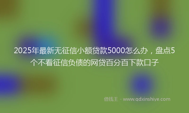 2025年最新无征信小额贷款5000怎么办，盘点5个不看征信负债的网贷百分百下款口子