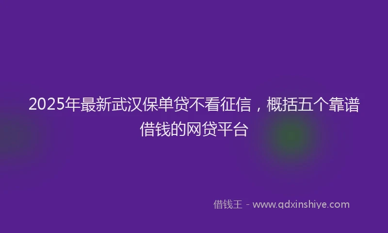 2025年最新武汉保单贷不看征信，概括五个靠谱借钱的网贷平台