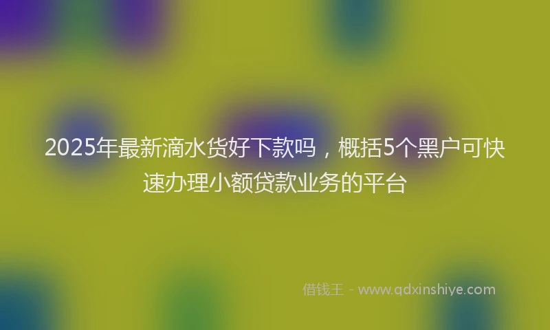 2025年最新滴水货好下款吗，概括5个黑户可快速办理小额贷款业务的平台
