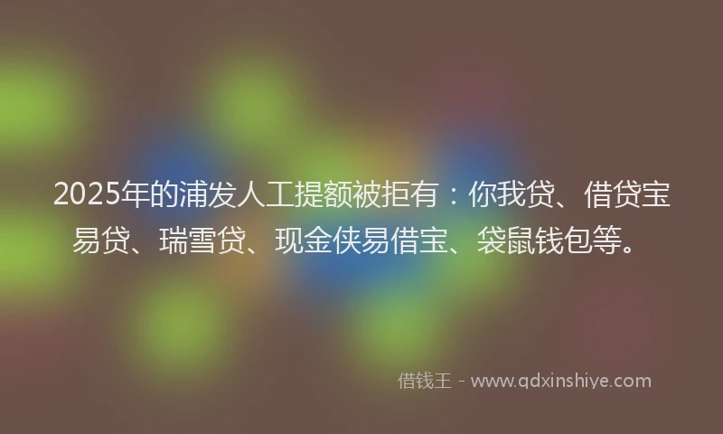 2025年的浦发人工提额被拒有：你我贷、借贷宝易贷、瑞雪贷、现金侠易借宝、袋鼠钱包等。
