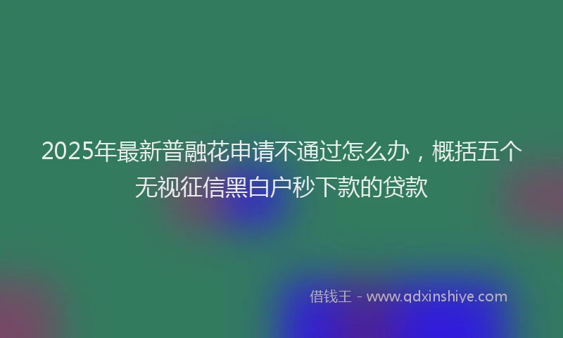 2025年最新普融花申请不通过怎么办，概括五个无视征信黑白户秒下款的贷款