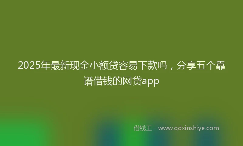 2025年最新现金小额贷容易下款吗，分享五个靠谱借钱的网贷app