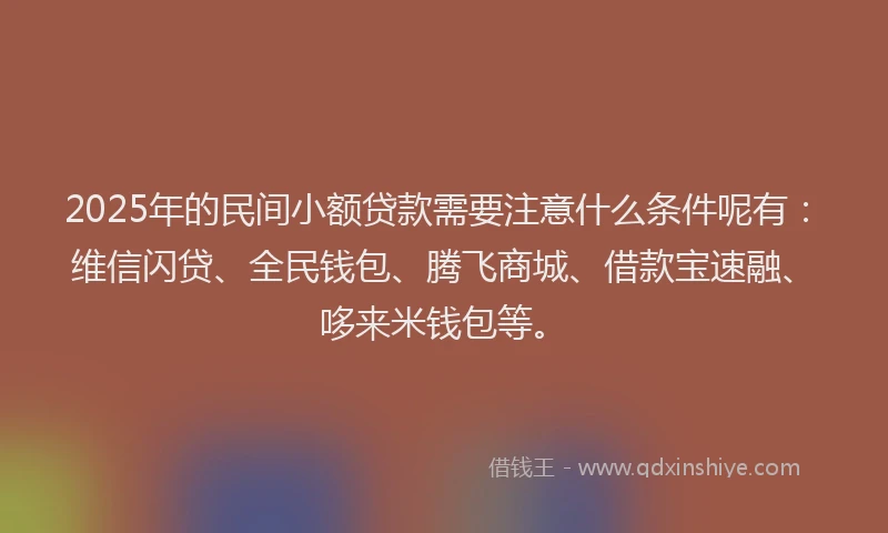 2025年的民间小额贷款需要注意什么条件呢有：维信闪贷、全民钱包、腾飞商城、借款宝速融、哆来米钱包等。