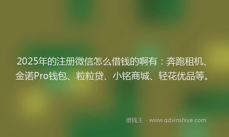 2025年的注册微信怎么借钱的啊有：奔跑租机、金诺Pro钱包、粒粒贷、小铭商城、轻花优品等。