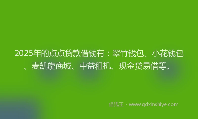 2025年的点点贷款借钱有：翠竹钱包、小花钱包、麦凯旋商城、中益租机、现金贷易借等。