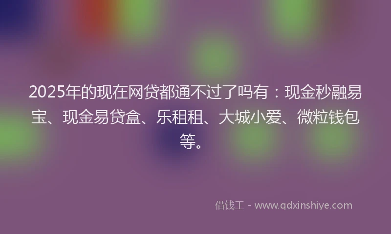 2025年的现在网贷都通不过了吗有：现金秒融易宝、现金易贷盒、乐租租、大城小爱、微粒钱包等。