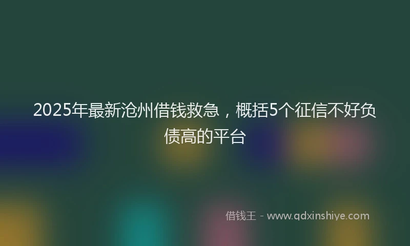 2025年最新沧州借钱救急，概括5个征信不好负债高的平台