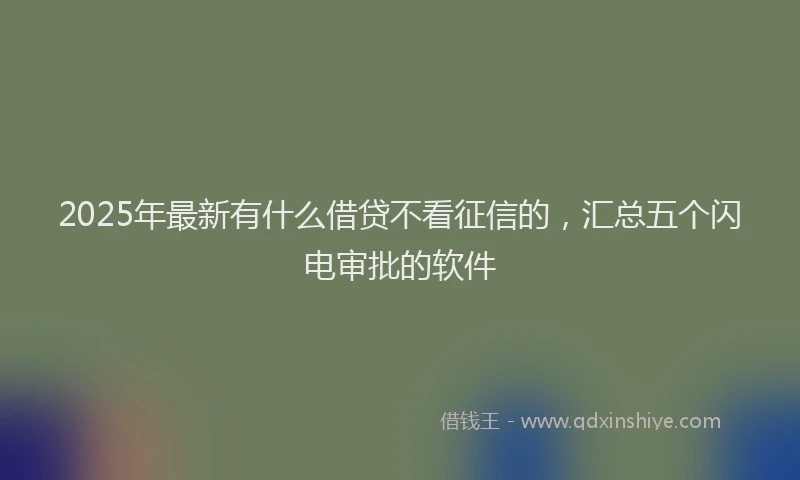 2025年最新有什么借贷不看征信的，汇总五个闪电审批的软件