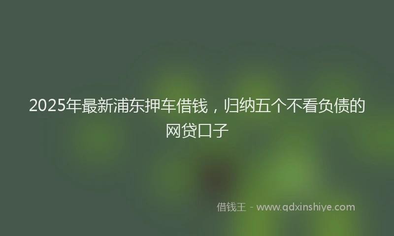 2025年最新浦东押车借钱，归纳五个不看负债的网贷口子