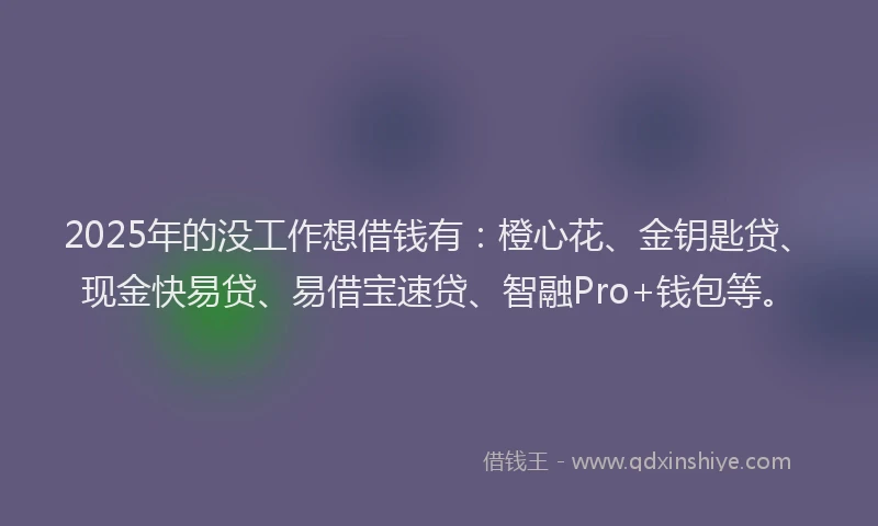 2025年的没工作想借钱有：橙心花、金钥匙贷、现金快易贷、易借宝速贷、智融Pro+钱包等。