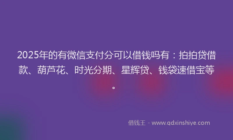 2025年的有微信支付分可以借钱吗有：拍拍贷借款、葫芦花、时光分期、星辉贷、钱袋速借宝等。
