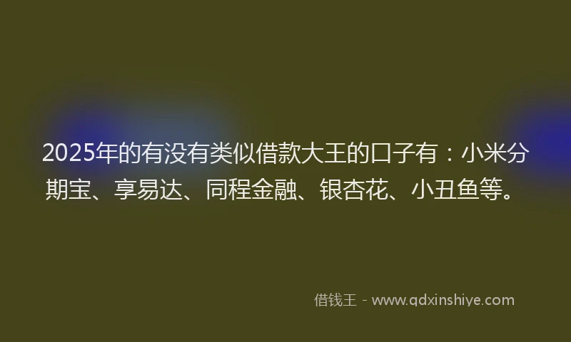 2025年的有没有类似借款大王的口子有：小米分期宝、享易达、同程金融、银杏花、小丑鱼等。