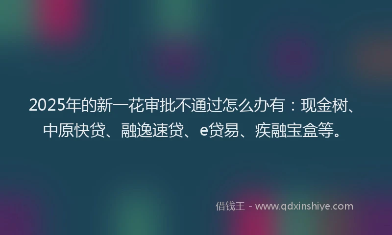 2025年的新一花审批不通过怎么办有：现金树、中原快贷、融逸速贷、e贷易、疾融宝盒等。