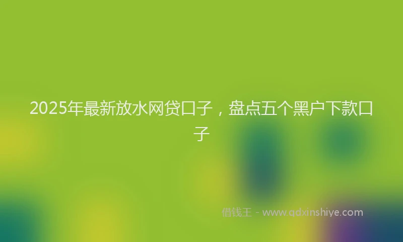 2025年最新放水网贷口子，盘点五个黑户下款口子