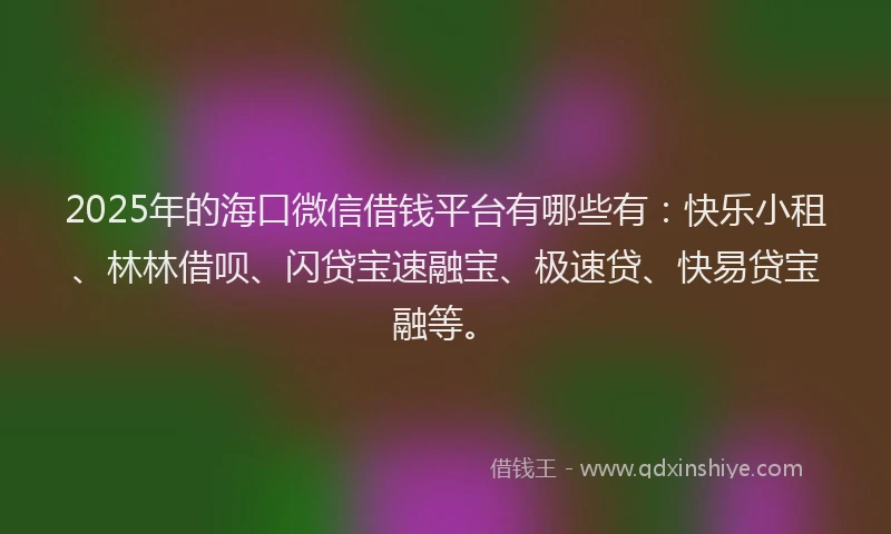 2025年的海口微信借钱平台有哪些有：快乐小租、林林借呗、闪贷宝速融宝、极速贷、快易贷宝融等。