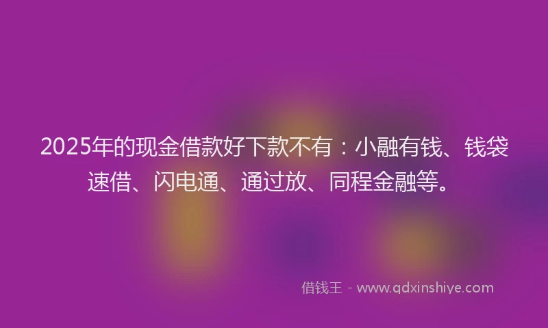 2025年的现金借款好下款不有：小融有钱、钱袋速借、闪电通、通过放、同程金融等。