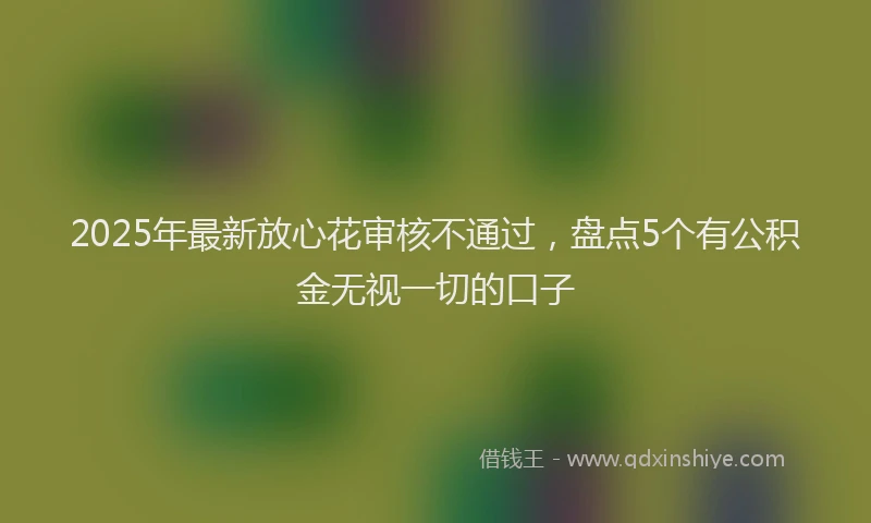 2025年最新放心花审核不通过，盘点5个有公积金无视一切的口子