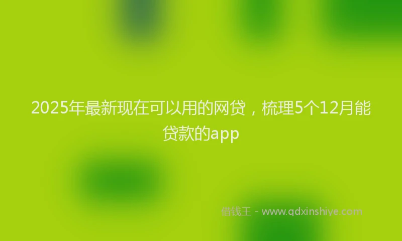 2025年最新现在可以用的网贷，梳理5个12月能贷款的app