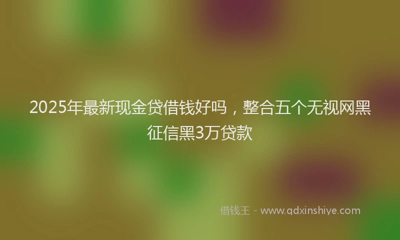 2025年最新现金贷借钱好吗，整合五个无视网黑征信黑3万贷款