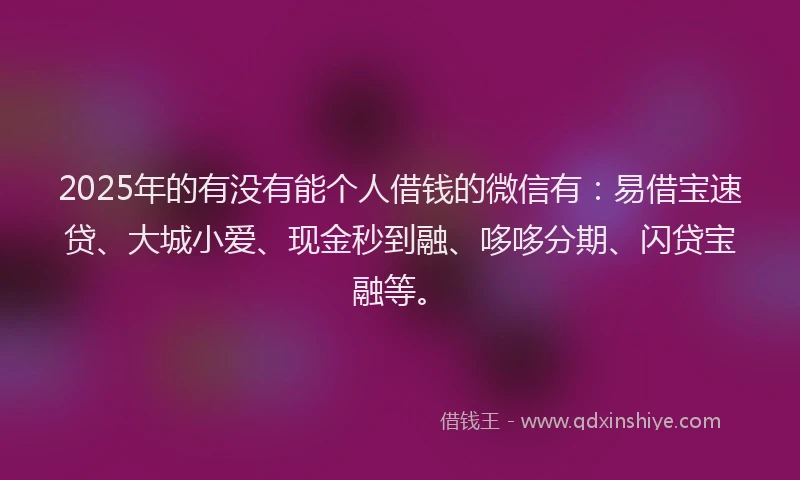 2025年的有没有能个人借钱的微信有：易借宝速贷、大城小爱、现金秒到融、哆哆分期、闪贷宝融等。