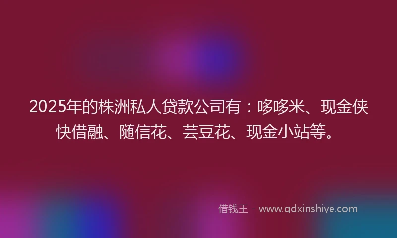 2025年的株洲私人贷款公司有：哆哆米、现金侠快借融、随信花、芸豆花、现金小站等。