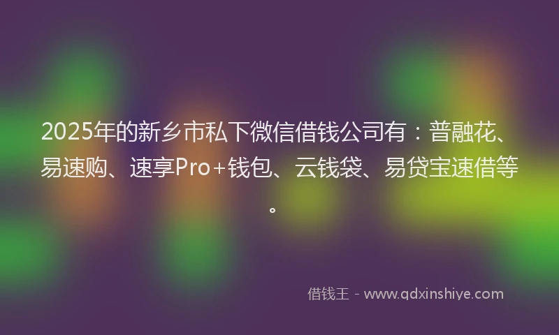 2025年的新乡市私下微信借钱公司有：普融花、易速购、速享Pro+钱包、云钱袋、易贷宝速借等。