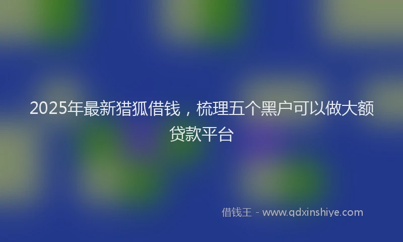 2025年最新猎狐借钱，梳理五个黑户可以做大额贷款平台