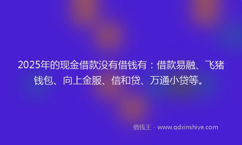 2025年的现金借款没有借钱有：借款易融、飞猪钱包、向上金服、信和贷、万通小贷等。