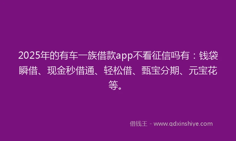2025年的有车一族借款app不看征信吗有：钱袋瞬借、现金秒借通、轻松借、甄宝分期、元宝花等。