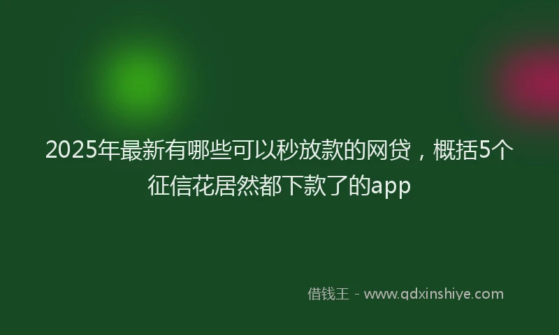 2025年最新有哪些可以秒放款的网贷，概括5个征信花居然都下款了的app
