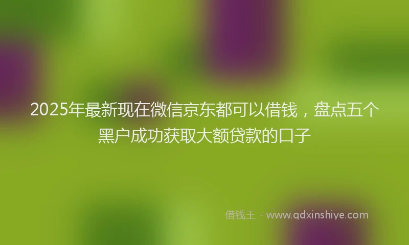 2025年最新现在微信京东都可以借钱，盘点五个黑户成功获取大额贷款的口子