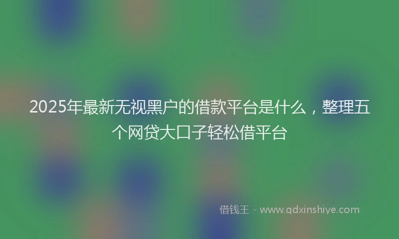 2025年最新无视黑户的借款平台是什么，整理五个网贷大口子轻松借平台