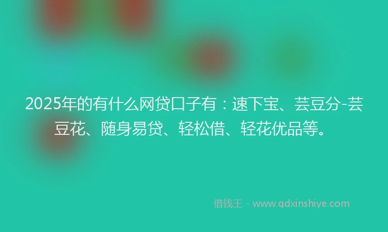 2025年的有什么网贷口子有：速下宝、芸豆分-芸豆花、随身易贷、轻松借、轻花优品等。
