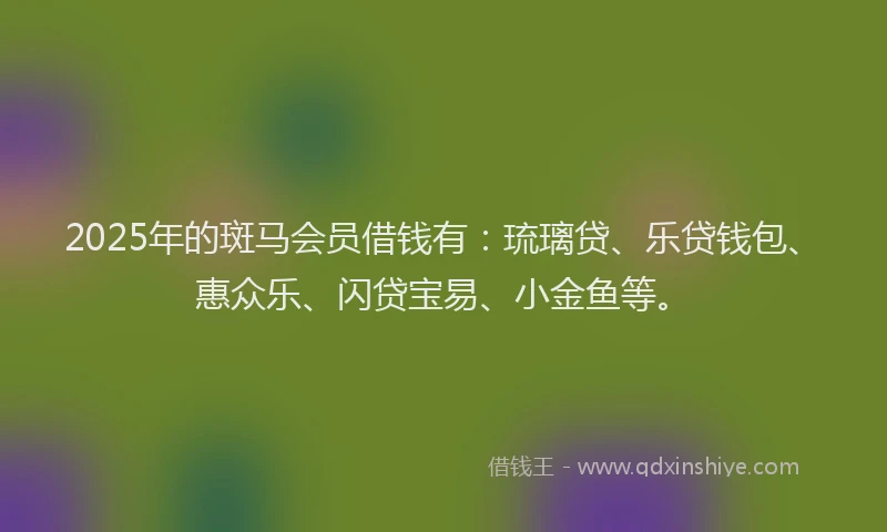 2025年的斑马会员借钱有：琉璃贷、乐贷钱包、惠众乐、闪贷宝易、小金鱼等。