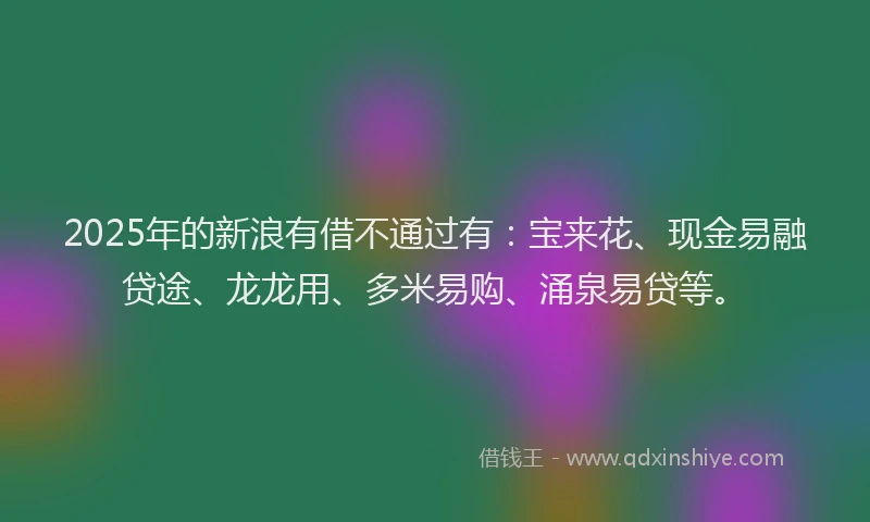 2025年的新浪有借不通过有：宝来花、现金易融贷途、龙龙用、多米易购、涌泉易贷等。