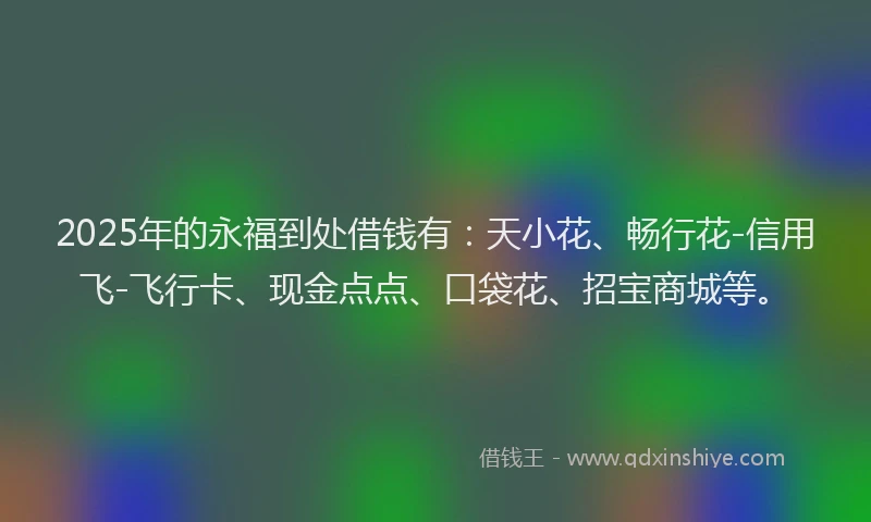 2025年的永福到处借钱有：天小花、畅行花-信用飞-飞行卡、现金点点、口袋花、招宝商城等。