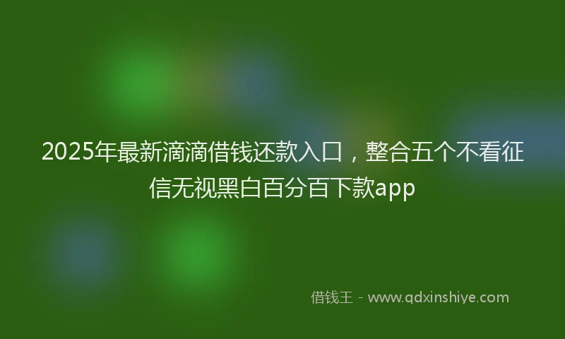 2025年最新滴滴借钱还款入口，整合五个不看征信无视黑白百分百下款app