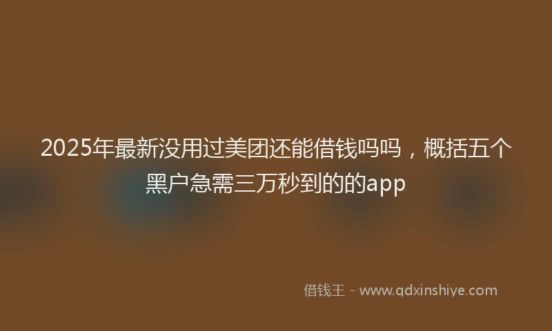 2025年最新没用过美团还能借钱吗吗，概括五个黑户急需三万秒到的的app