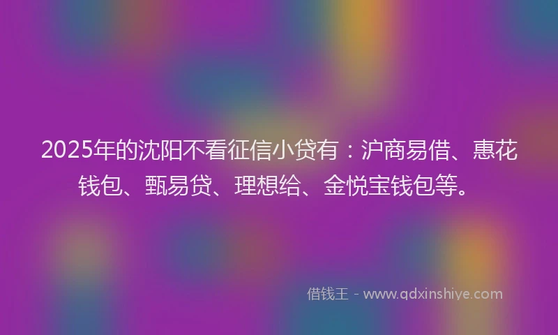 2025年的沈阳不看征信小贷有:沪商易借、惠花钱包、甄易贷、理想给、金悦宝钱包等。