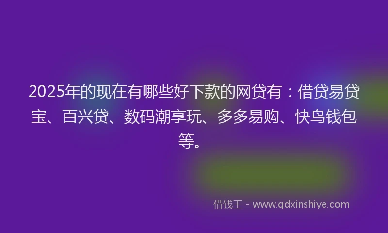 2025年的现在有哪些好下款的网贷有：借贷易贷宝、百兴贷、数码潮享玩、多多易购、快鸟钱包等。