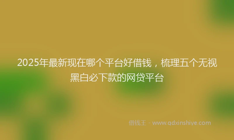 2025年最新现在哪个平台好借钱，梳理五个无视黑白必下款的网贷平台
