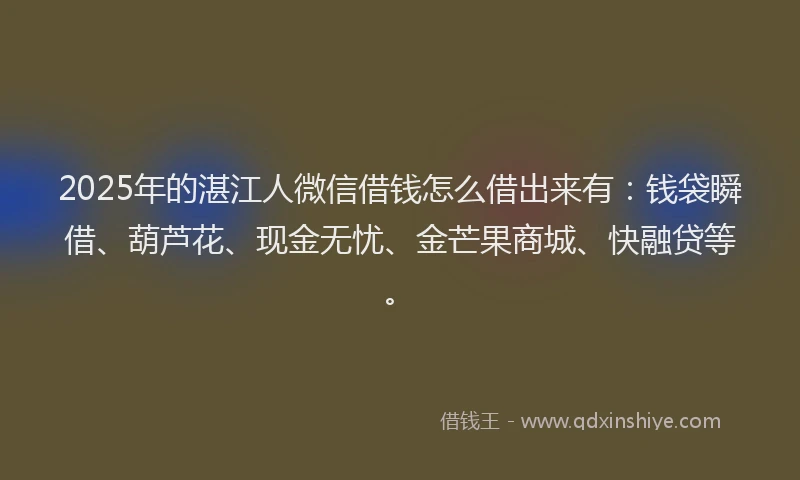 2025年的湛江人微信借钱怎么借出来有：钱袋瞬借、葫芦花、现金无忧、金芒果商城、快融贷等。