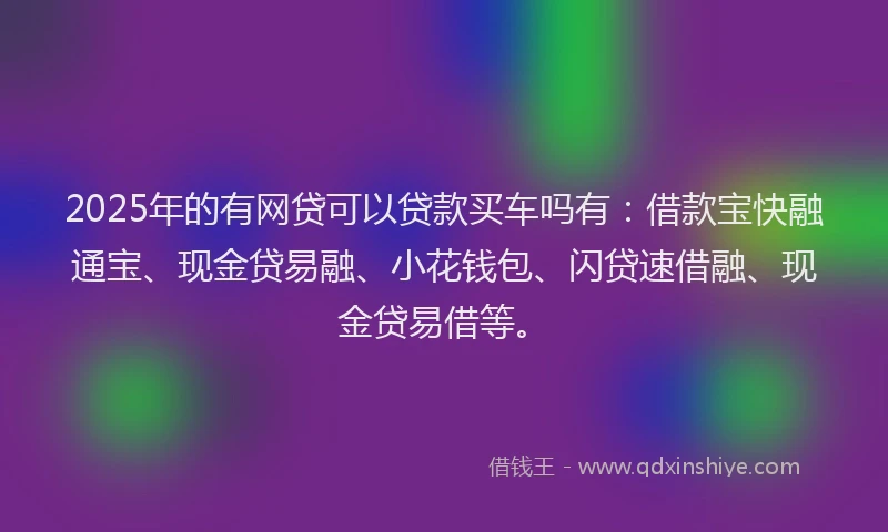 2025年的有网贷可以贷款买车吗有：借款宝快融通宝、现金贷易融、小花钱包、闪贷速借融、现金贷易借等。