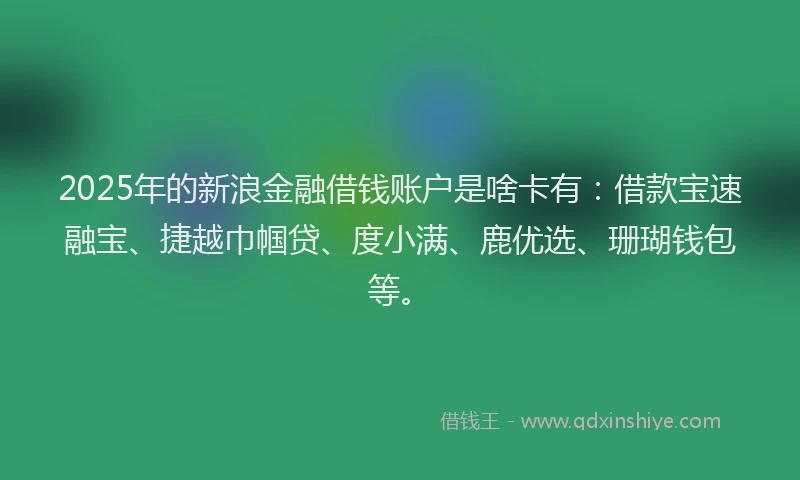 2025年的新浪金融借钱账户是啥卡有：借款宝速融宝、捷越巾帼贷、度小满、鹿优选、珊瑚钱包等。