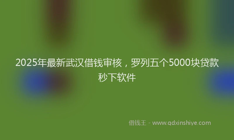 2025年最新武汉借钱审核，罗列五个5000块贷款秒下软件